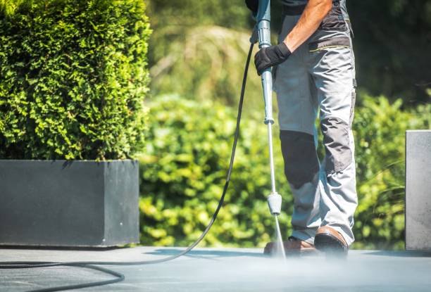 Best Fence Cleaning  in Surfside, FL